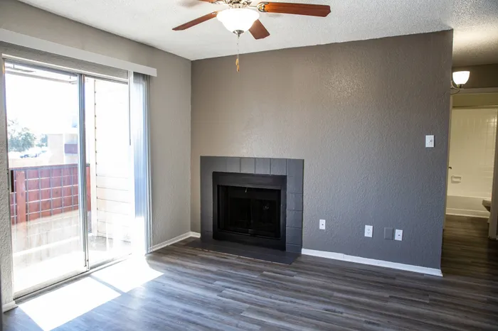 fireplace in the living room