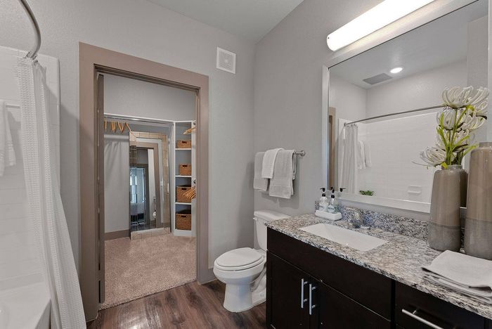 Modern bathroom with granite countertop, under-mount sink, and walk-in closet view