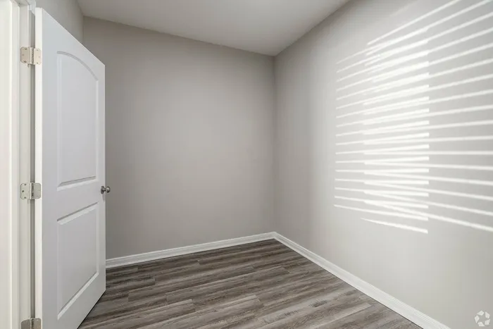 Spacious walk-in closet.