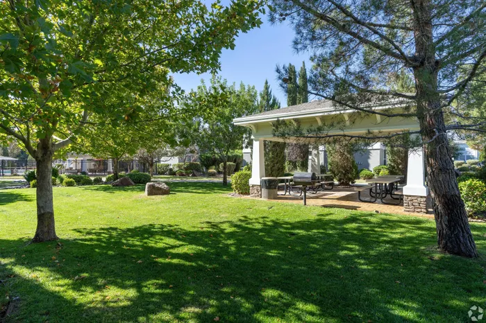 Tree-covered dog park with shaded seating at Lifestyles Hueco Estates in El Paso, TX.