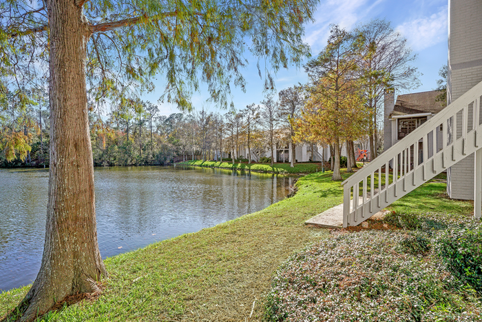 pond and trees