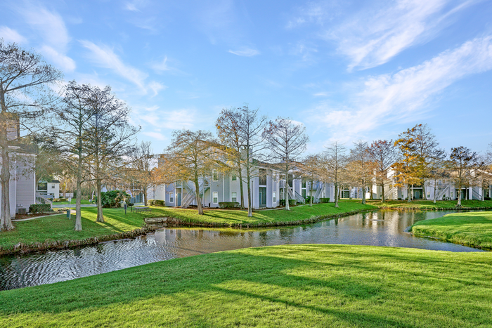 pond and trees