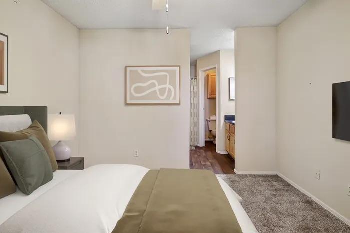 Carpeted bedroom, bed and lamp