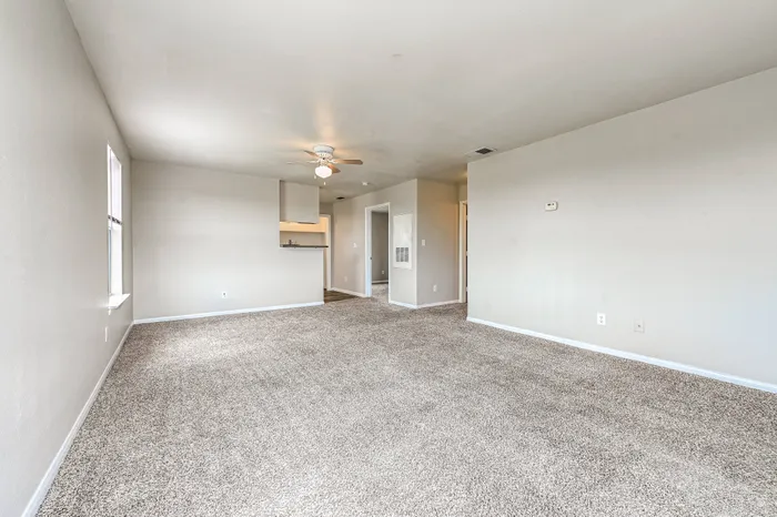 a cozy bedroom with a ceiling fan and plush carpeting