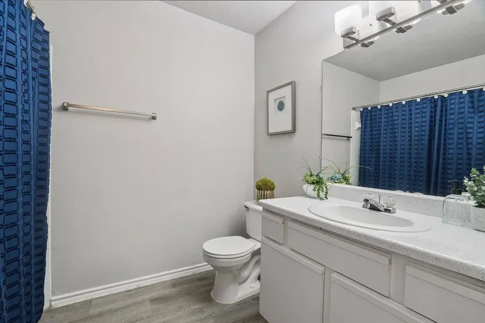 Spacious apartment bathroom with modern finishes at Avonmora in Austin, TX