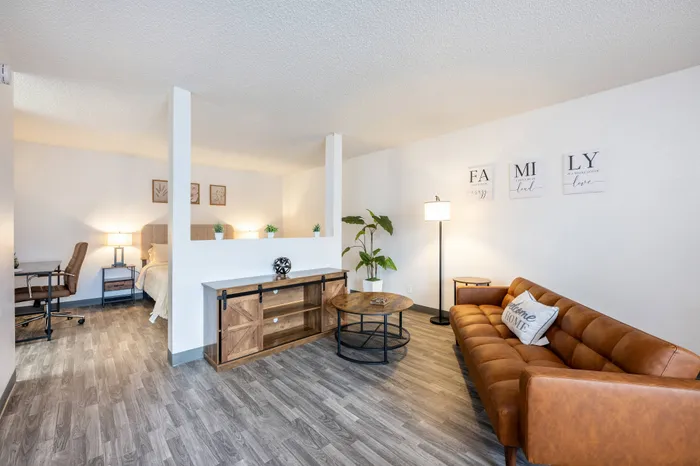 living and bed room seperation int he studio