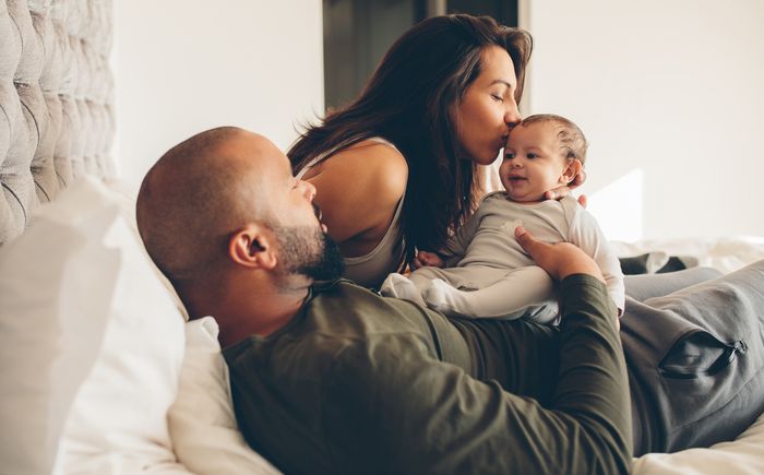 stock of a happy family