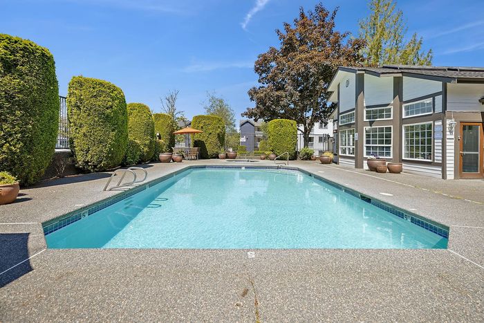 sparkling pool