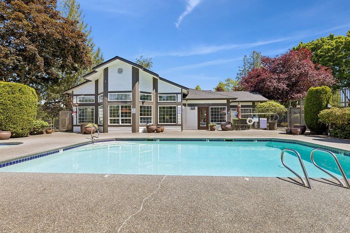 sparkling pool