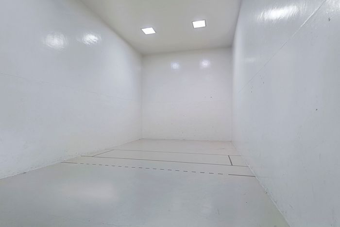 pickleball court