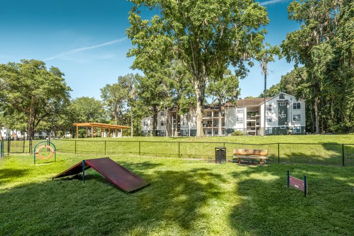 spacious bark park