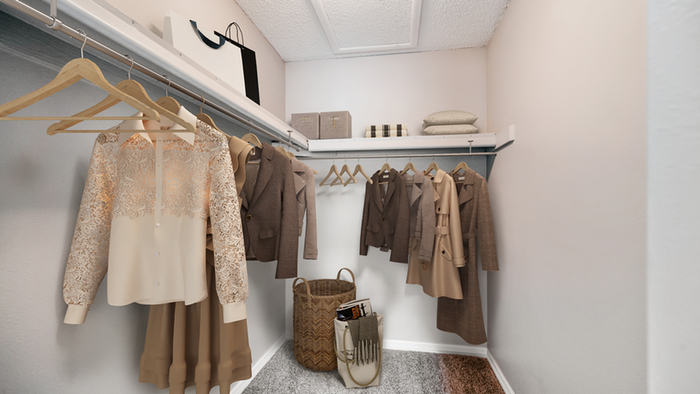 Walk in carpeted closet, wooden hangers, blouses and coats