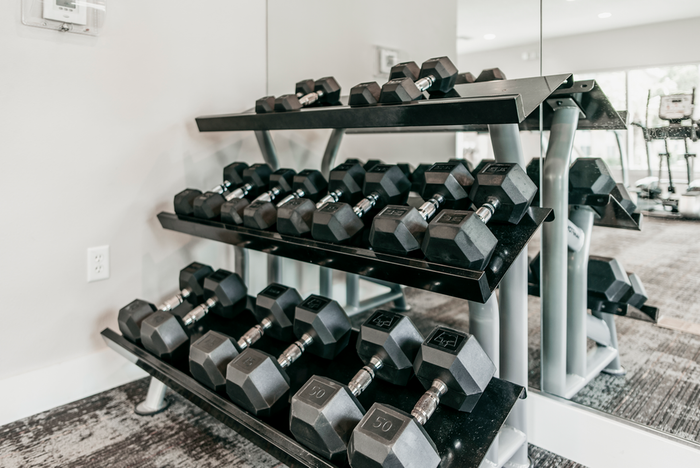 Three tier weight rack, mirror