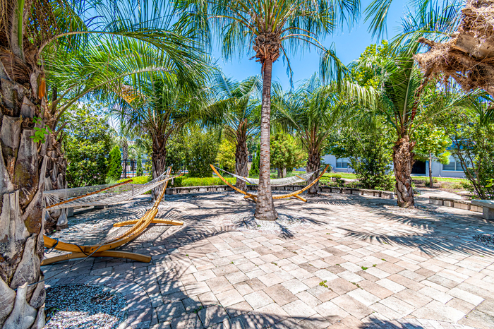 Outdoor tropical area with hammocks, palm trees, and stone pavement under a bright blue sky.