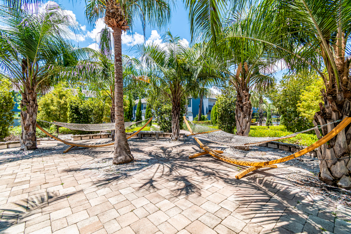 Outdoor tropical area with hammocks, palm trees, and stone pavement under a bright blue sky.