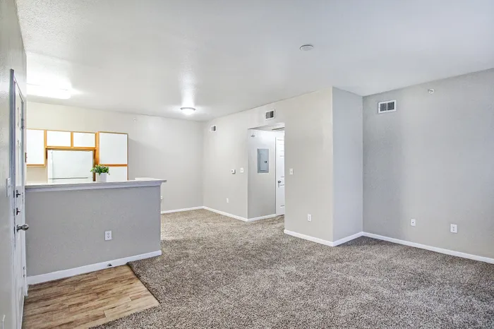 Open living space with carpet