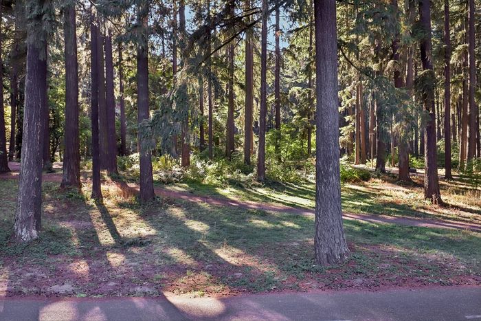 Lush walking paths