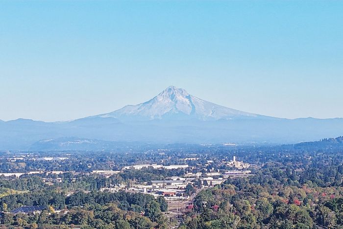 Mountain Views