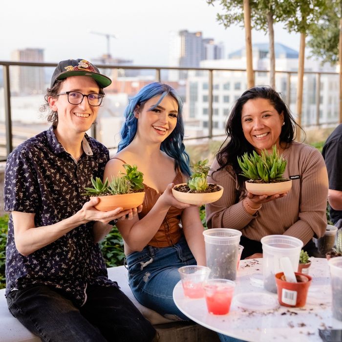 Succulent Making | Apartment Homes in Phoenix, AZ | X Phoenix