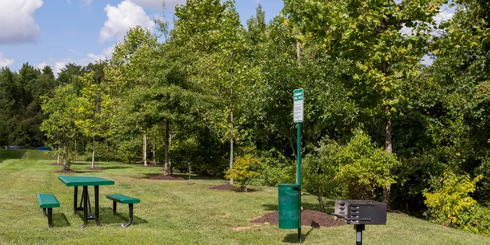 Islands of Fox Chase