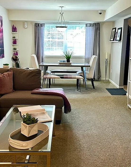Inviting living space with a cozy sofa, dining area, and abundant natural light from a large window, enhanced by elegant decor and contemporary carpeting.