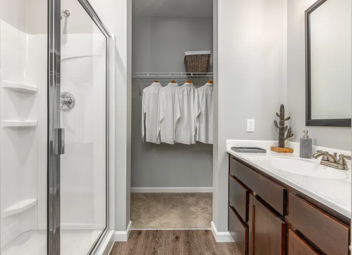 Elegant bathroom with glass shower, sleek vanity, and adjacent walk-in closet boasting ample storage.