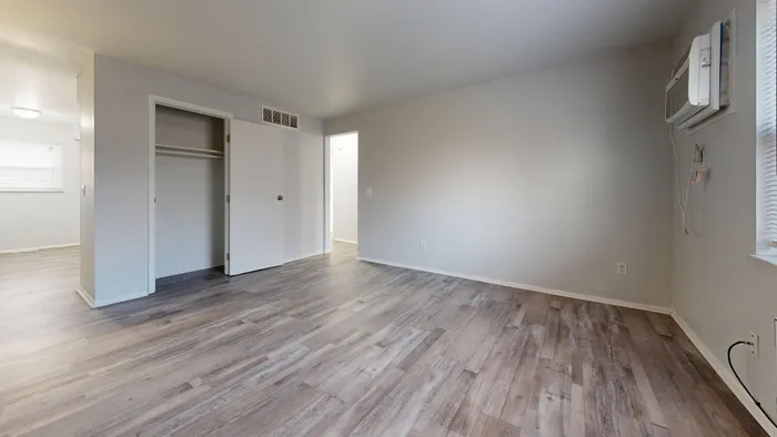 Bright and airy room with sleek wood flooring and a built-in closet.