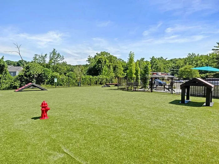 Sunny, spacious outdoor dog park with agility equipment and lush green surroundings, perfect for pet lovers.