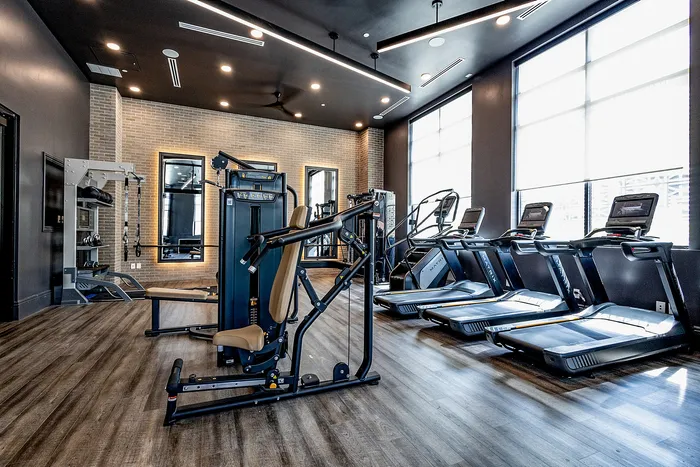 Contemporary gym with state-of-the-art treadmills and versatile exercise equipment in a stylish, well-lit room.