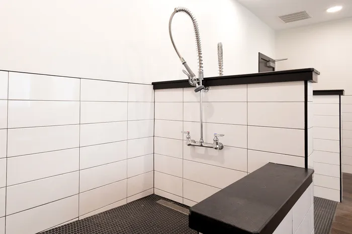 Modern dog wash station with sleek tile design and flexible shower head, perfect for pet-friendly living.