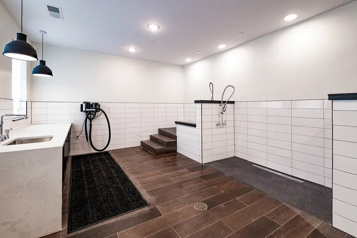 Modern pet-friendly washroom featuring sleek tiling, dual sprayer system, and contemporary lighting.