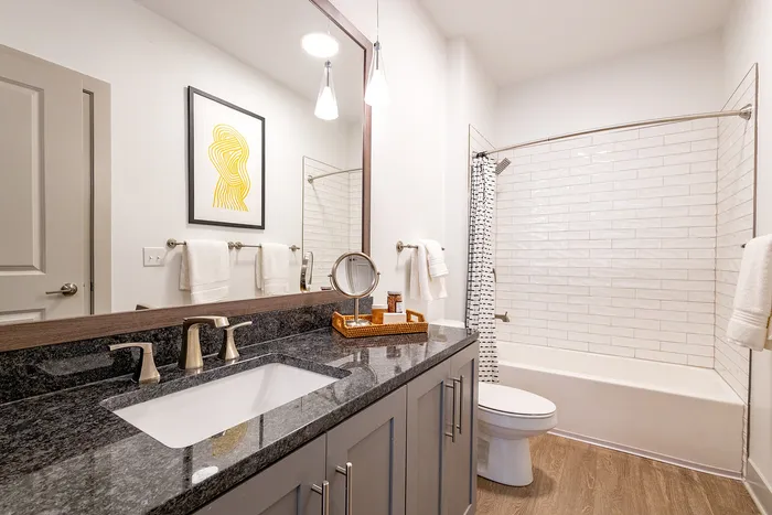 Modern bathroom with sleek granite countertop, stylish cabinetry, elegant lighting, and a chic shower area with artistic decor.