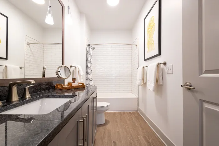 Modern bathroom with elegant fixtures, granite countertop, and spacious bathtub surrounded by stylish subway tiles.