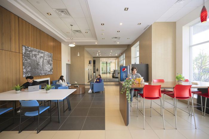 Modern communal area featuring vibrant decor with blue and red seating, stylish wooden accents, natural lighting, and greenery for a welcoming atmosphere.