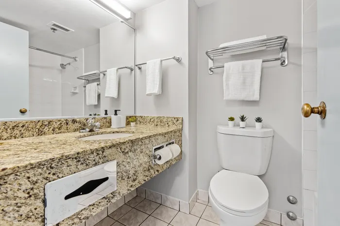 Elegant bathroom featuring granite countertops, a large mirror, and modern fixtures, with clean white towels and decorative plants for a touch of luxury.