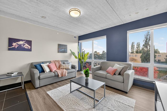 Bright and modern living room featuring plush gray sofas, colorful pillows, and large windows with scenic views, perfect for relaxation and entertaining.