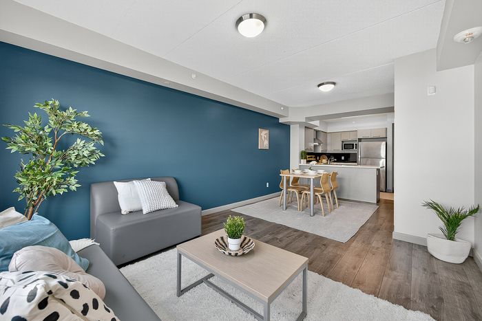 Modern open-concept living room with stylish gray furniture, vibrant blue accent wall, and inviting dining area leading to a sleek kitchen.