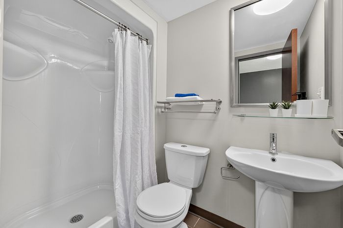Contemporary bathroom featuring a sleek shower with curtain, modern sink, and elegant toilet, complemented by minimalist decor and ample lighting.