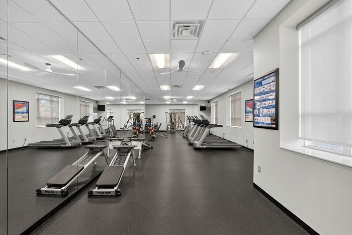 Spacious and modern gym with treadmills, rowing machines, and vibrant exercise balls, perfect for a full workout experience.