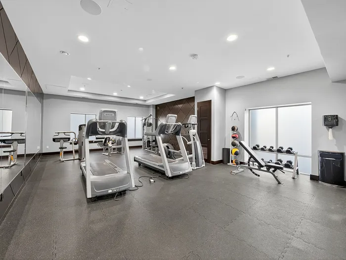 Modern fitness room featuring state-of-the-art treadmills, versatile weight bench, and organized free weights in a sleek, well-lit space.