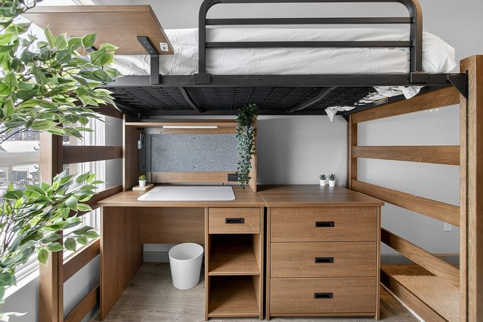 Modern loft bed with a stylish wooden desk, lush greenery, and ample storage. Bright window view enhances the cozy workspace atmosphere.