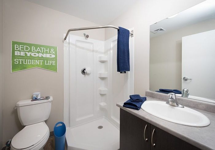 Modern bathroom with sleek shower, stylish vanity, and vibrant accents perfect for student living.