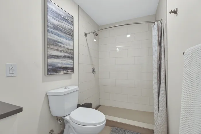 Elegant bathroom with sleek tiled shower, modern toilet, and stylish artwork adding a touch of sophistication.