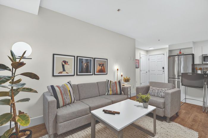 Modern living room with chic decor, featuring a stylish grey sofa, vibrant artwork, and a sleek kitchen in the background.