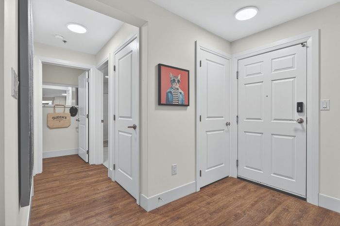 Modern apartment hallway with stylish wood flooring, bright lighting, and creative cat artwork creating a welcoming vibe.