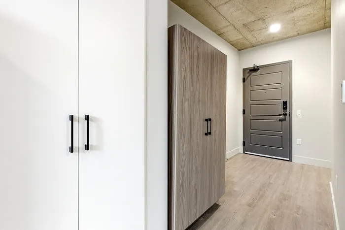 Contemporary apartment entrance with sleek wood flooring, elegant cabinetry, and modern door design.