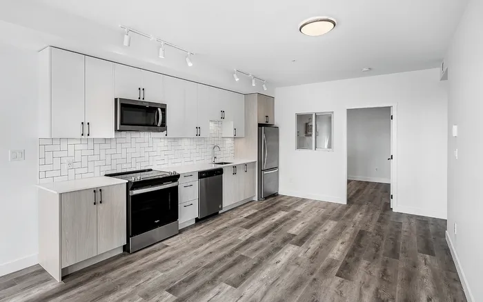 Modern kitchen with sleek cabinetry, stainless steel appliances, and elegant tile backsplash, featuring stylish wood-like flooring.