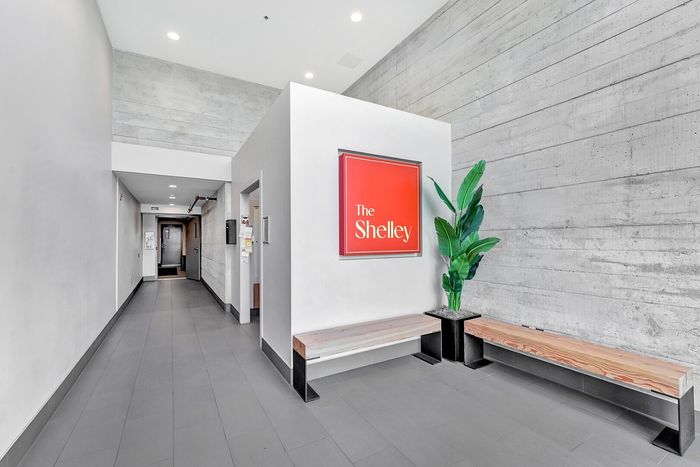 Modern apartment hallway with sleek concrete walls, stylish wooden benches, and a vibrant plant at The Shelley.