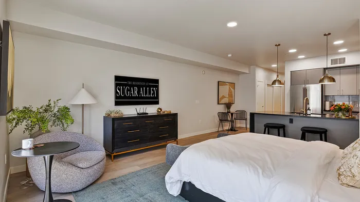 Slate studio apartment showing full kitchen and living area combo