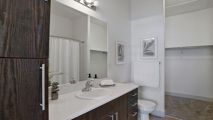 Merritt 1 bedroom apartment bathroom vanity with modern cabinetry and walk-in closet at Parkway Lofts in Orem Utah